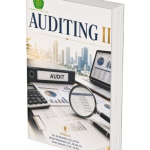 Auditing II